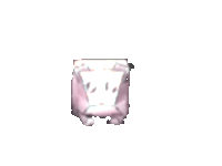 hamster